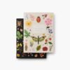 Pocket Notebook Set - Curio